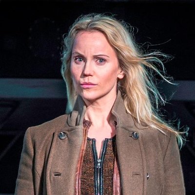 Fascinante Saga Norén